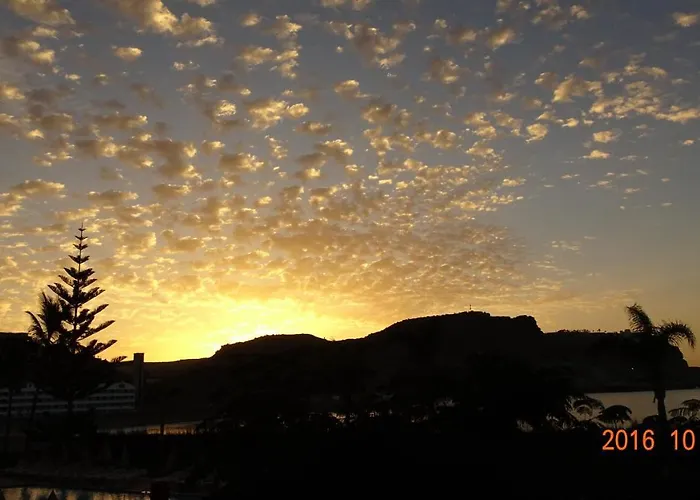 Cura Marina Seafront Appartement *